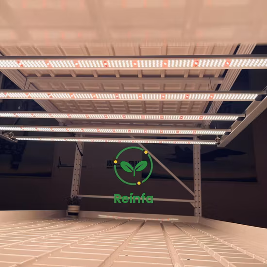 Наружный светодиодный светильник для сцены, настенный светильник, архитектурный пейзаж, настенный светильник, дизайн, настенный светильник IP65, водонепроницаемый